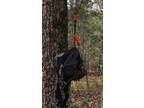 Tree Stand Safety Tool, climbing tree stand , Bow Hunting Tool , Tree Stand