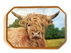 Original Oil Painting Of Scottish Highland Cow On 9.5 X 6.75 Inch Wooden Plaque