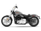 2024 Harley-Davidson Softail® Standard