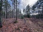 Plot For Sale In Waterford, Maine