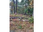 Plot For Sale In Browns Mills, New Jersey