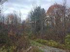 Plot For Sale In Delanson, New York