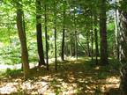 Plot For Sale In Belfast, Maine