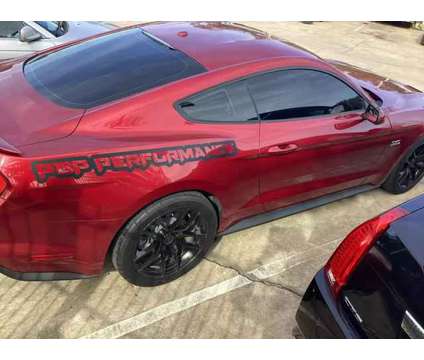 2019 Ford Mustang for sale is a Red 2019 Ford Mustang Car for Sale in Houston TX