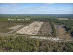 Crawfordville, Wakulla County, FL Undeveloped Land for sale Property ID: