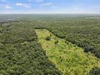 Timber Land for Sale