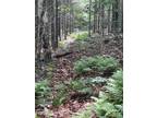 Plot For Sale In Indian Lake, New York
