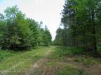 Plot For Sale In Au Sable Forks, New York