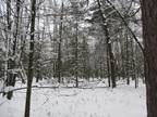 Grayling, Nicely wooded high & dry 1+ acre building site