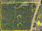 Harrietta, Wexford County, MI Undeveloped Land for sale Property ID: 416298091