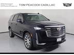 2021 Cadillac Escalade Premium Luxury Platinum