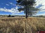 52 GILA DR, Pagosa Springs, CO 81147 Land For Sale MLS# 808963