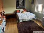 1 bedroom in Brookline MA 02446