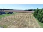 Plot For Sale In Denton, Maryland