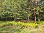 Plot For Rent In Newfoundland, Pennsylvania