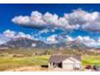 40006 L75 Road Paonia, CO