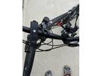 trek mountain bike(customized)