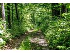 Plot For Sale In Craigsville, Virginia