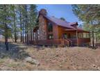 Pinedale, Navajo County, AZ House for sale Property ID: 414148681