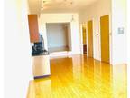 Condo For Rent In Brooklyn, New York