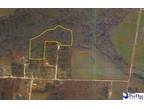 TBD ZACHARY COURT, Latta, SC 29565 Land For Sale MLS# 20233648