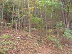 Plot For Rent In Fancy Gap, Virginia