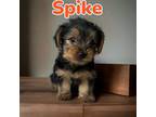 Spike