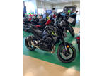 2024 Kawasaki Z900 ABS