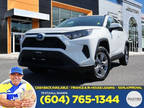 2023 TOYOTA RAV4: Clean, 125 KMs Only! Like New!!
