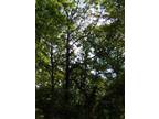 Plot For Sale In Ringgold, Virginia