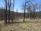 Plot For Sale In Dushore, Pennsylvania