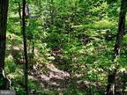 Plot For Sale In Gerrardstown, West Virginia