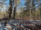 Plot For Sale In Canaseraga, New York