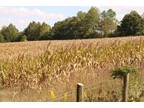 Plot For Sale In Farmville, Virginia