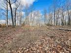 Plot For Sale In Churchville, Virginia