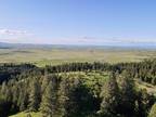 Grangeville, Idaho County, ID Undeveloped Land for sale Property ID: 418154510