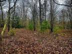 Plot For Sale In Weatherly, Pennsylvania