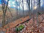 Plot For Sale In Front Royal, Virginia