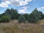 Manzano, Torrance County, NM Undeveloped Land for sale Property ID: 417347804