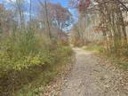 Plot For Sale In Bruceton Mills, West Virginia