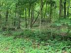 Plot For Sale In Pleasant Valley, New York