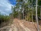 Sparkman, Dallas County, AR Undeveloped Land for sale Property ID: 418208209