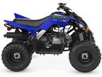 2022 Yamaha Raptor 90