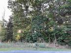 Plot For Sale In Shenandoah, Virginia