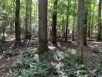 Plot For Sale In Old Dominion, Virginia