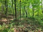 Plot For Sale In Freeville, New York