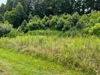 Plot For Sale In Summersville, West Virginia