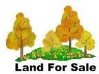Plot For Sale In Horseheads, New York