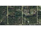 1140 ASH ST, BUNNELL, FL 32110 Land For Sale MLS# FC275236