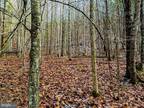 Plot For Sale In Caldwell, West Virginia